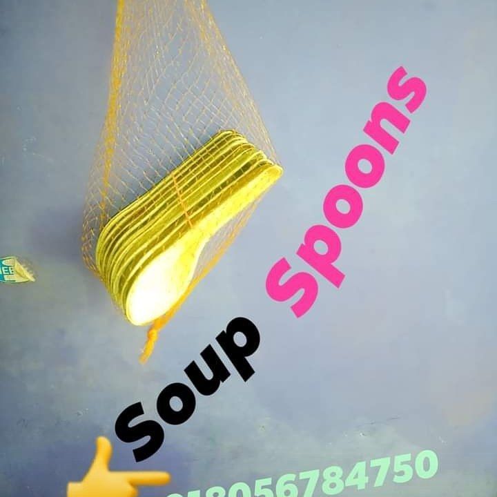 Soup Spoons Areca Natural Biodegradable uploaded by business on 2/21/2021