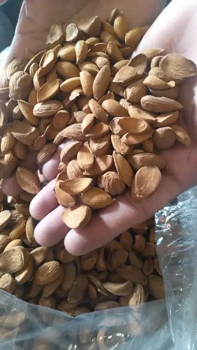 Post image Hey! Checkout my updated collection Kashmiri Dry fruits.