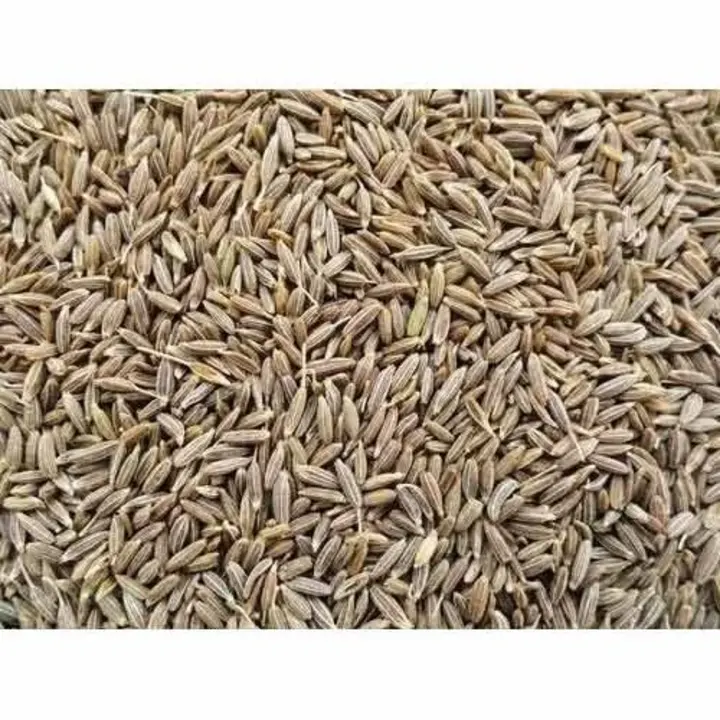 Post image I want 2000 pieces of whole jeera  at a total order value of 60000. I am looking for jeera 1 kg pack. Please send me price if you have this available.