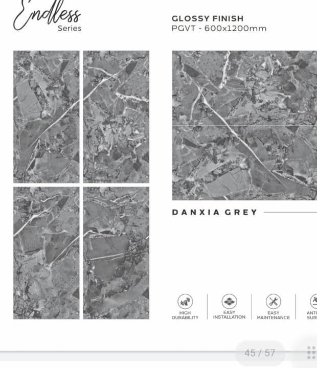 Danxia grey uploaded by Pawan tiles depot on 2/21/2023