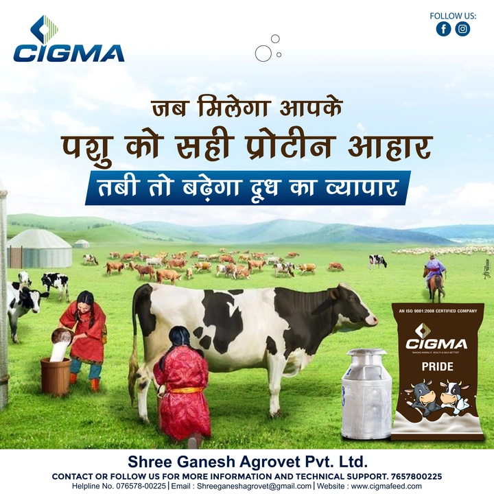 Cigma cattle feed uploaded by Subh & Labh Enterprises on 2/22/2023