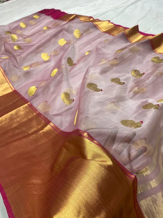 Chanderi Pure silk Saree uploaded by Chanderi Saree Sitara Handloom on 2/22/2023