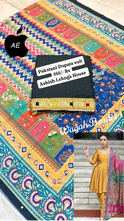 Pakstani Dupata Suit  uploaded by Ashish Lehnga House on 2/25/2023