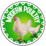 Business logo of MODERN POULTRY