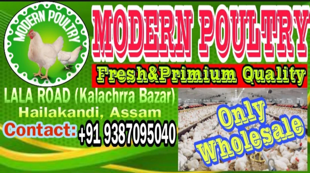 Visiting card store images of MODERN POULTRY
