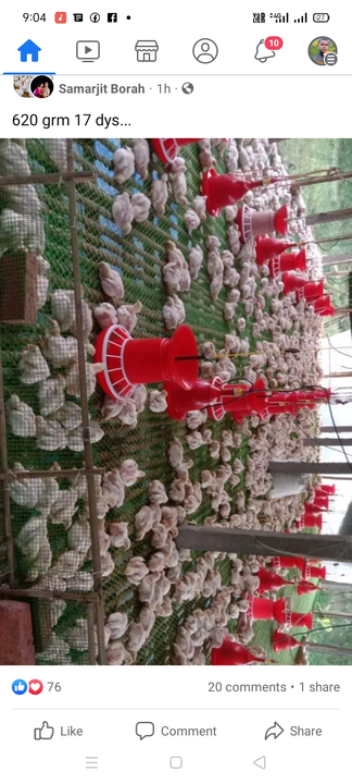 Warehouse Store Images of MODERN POULTRY