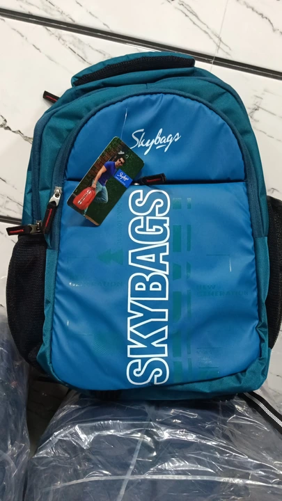 Sky bag uploaded by Forex Bag  on 2/25/2023