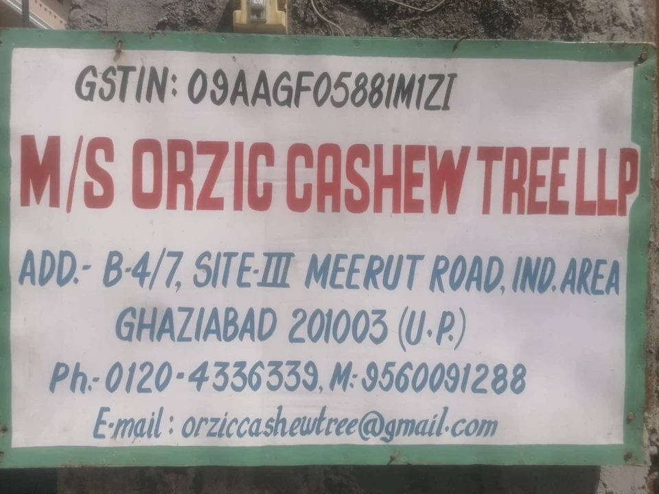 Shop Store Images of ORZIC CASHHEW TREE LLP.
