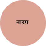 Business logo of नारंग
