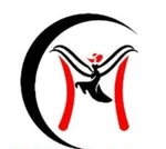 Business logo of Mishva Fashion