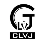 Business logo of CLVJ Enterprise