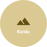 Business logo of KUNDU
