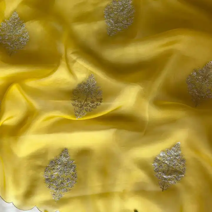 New Super Trernding Organza sequence work saree Collection uploaded by A star on 3/1/2023