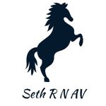 Business logo of Seth R N AV 
