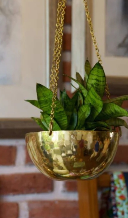 Flower pot in brass uploaded by business on 3/2/2023