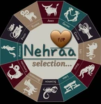 Business logo of Nehraa selection