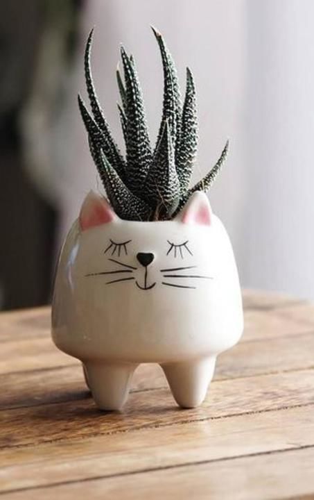 Cute ceramic planter uploaded by business on 2/24/2021
