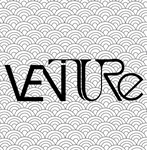 Business logo of VENTURE
