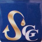 Business logo of Shri ganesh chemicals