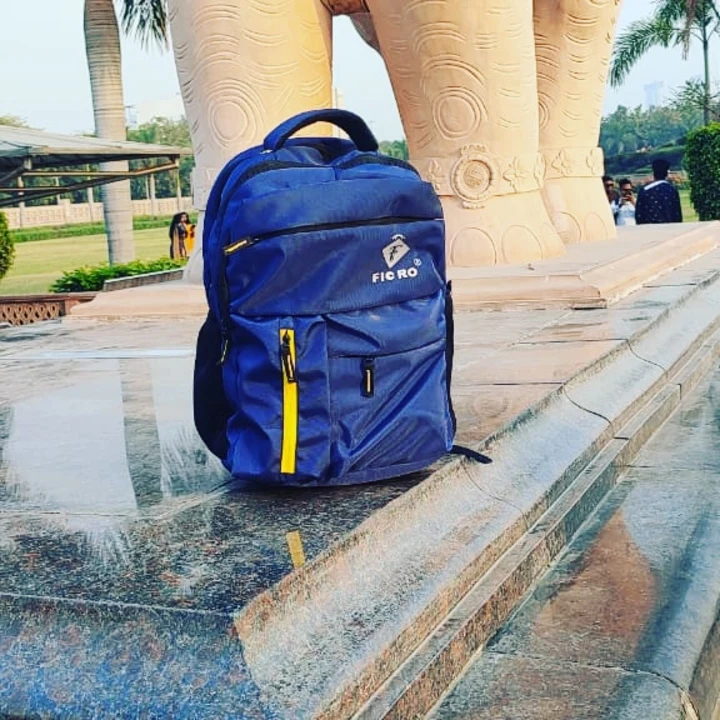 School bag and college bag uploaded by FICRO PVT LTD  on 3/5/2023