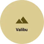Business logo of Valibu