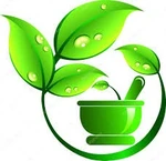 Business logo of Divyalata Ayurved Sansthan