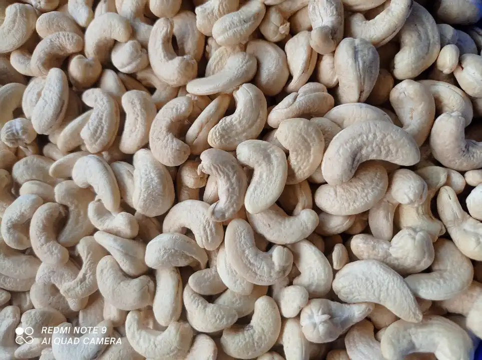 CASHEW NUTS IMPORTED ORGIN uploaded by Sri Sai Export on 5/28/2024
