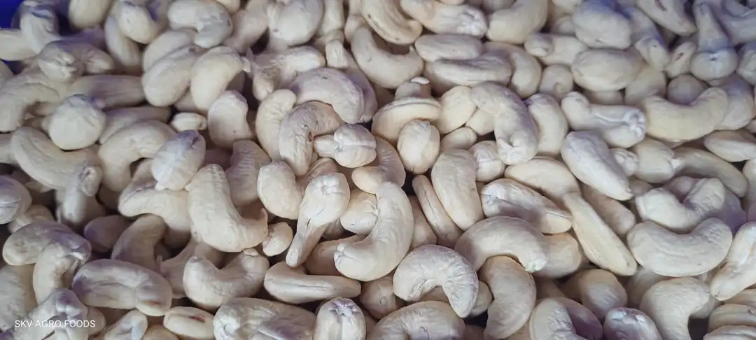 CASHEW NUTS IMPORTED ORGIN uploaded by Sri Sai Export on 3/9/2023