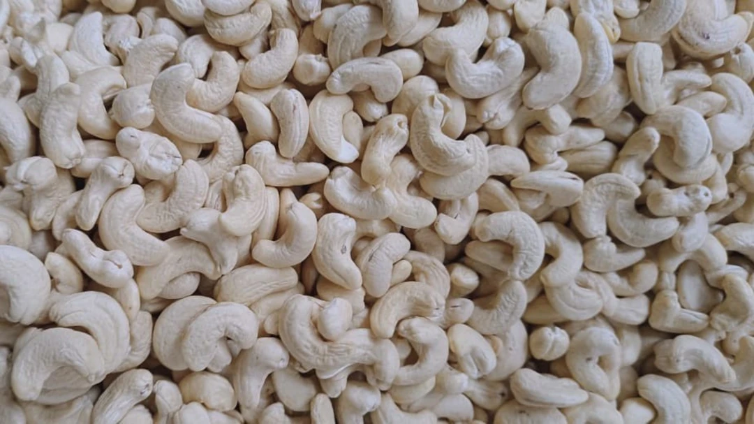 CASHEW NUTS IMPORTED ORGIN uploaded by Sri Sai Export on 3/9/2023