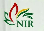 Business logo of nir creation