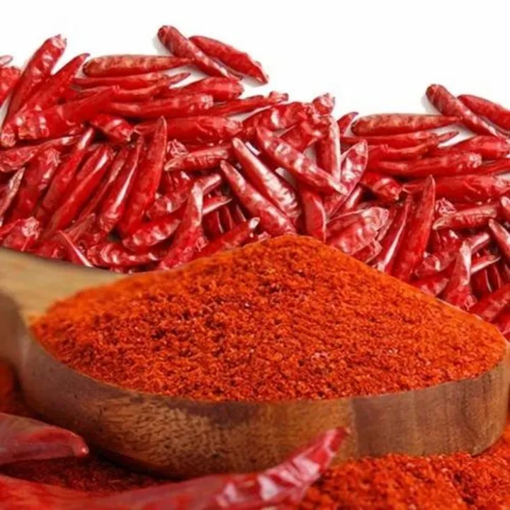 Dry Chili powder ( লঙ্কা গুরো )  uploaded by business on 3/11/2023