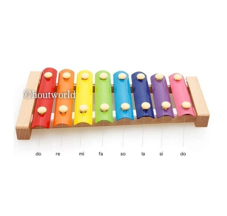XYLOPHONE uploaded by business on 2/26/2021