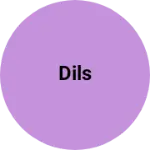 Business logo of Dils