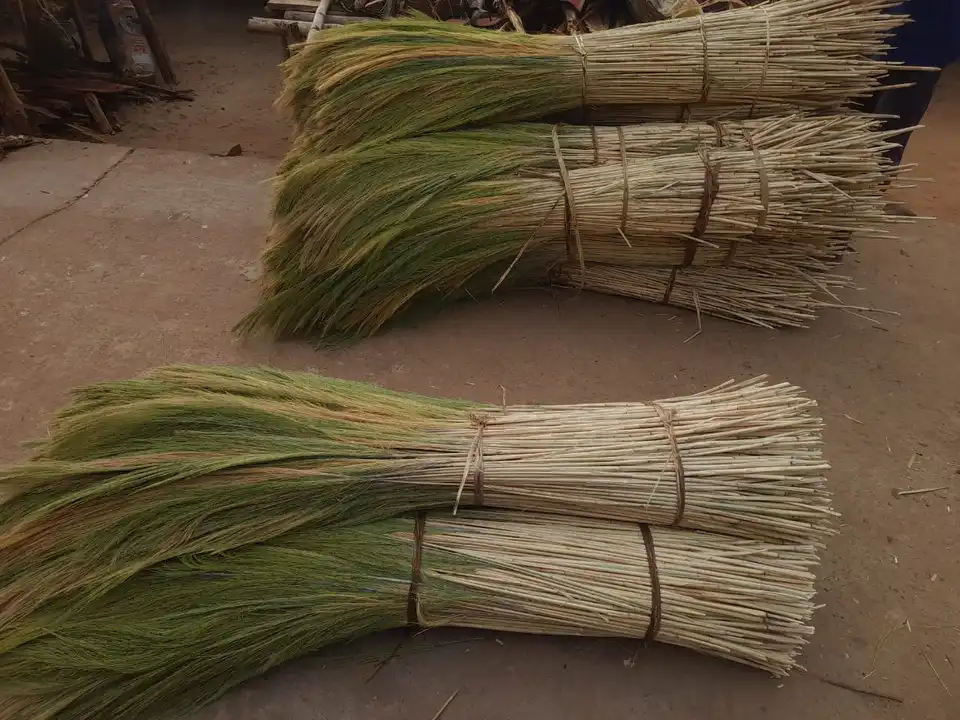 Soft Broom Raw Material uploaded by business on 3/15/2023