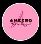 Business logo of Ameero