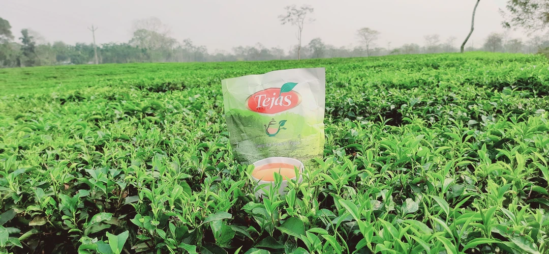 Tejas  Tea uploaded by business on 3/17/2023
