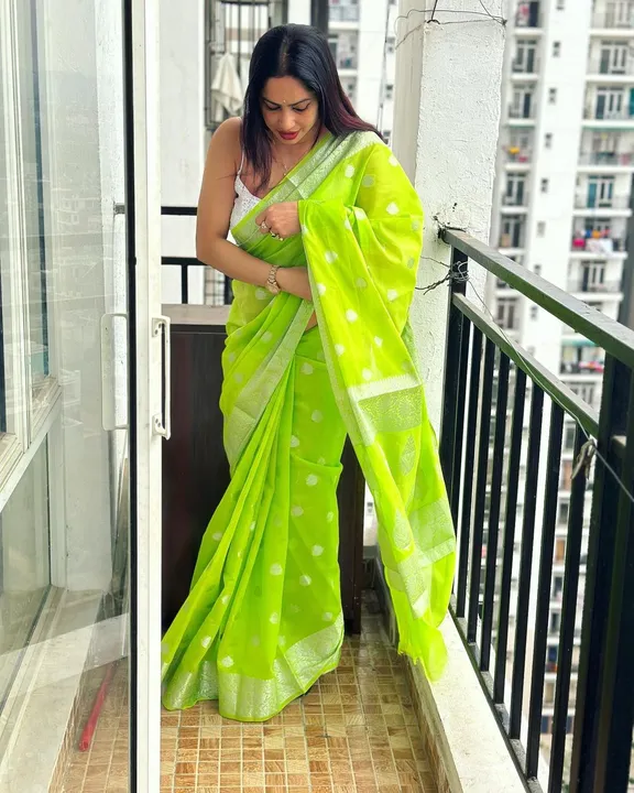 Chiffon soft silk saree uploaded by Shoaib collection on 3/18/2023