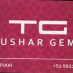 Business logo of Tushar Gems