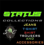 Business logo of Status collections