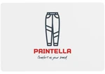 Business logo of PAINTELLA