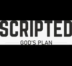 Business logo of SCRIPTED 