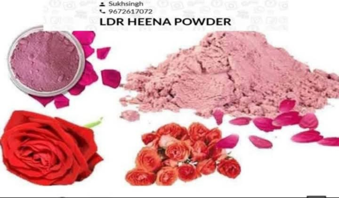Rose peel levels Powder  uploaded by business on 3/26/2023