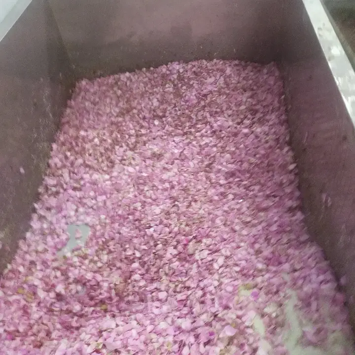 Post image Rose petals gulkand
Wholesale 110rs
WhatsApp.9166277083