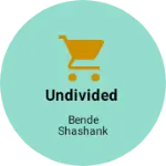Business logo of UNDIVIDED