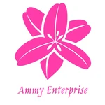 Business logo of Ammy Enterprises