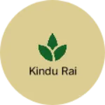 Business logo of Kindu rai