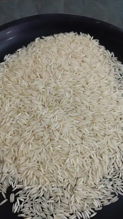 1121 Steam Basmati Rice  uploaded by All Agro Products / Rice/ Pulses/ on 4/2/2023