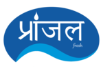 Business logo of Pranjal enterprises