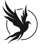 Business logo of Black bird outlet