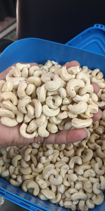 Sw320 uploaded by Shubh India dry fruits pvt ltd on 4/5/2023
